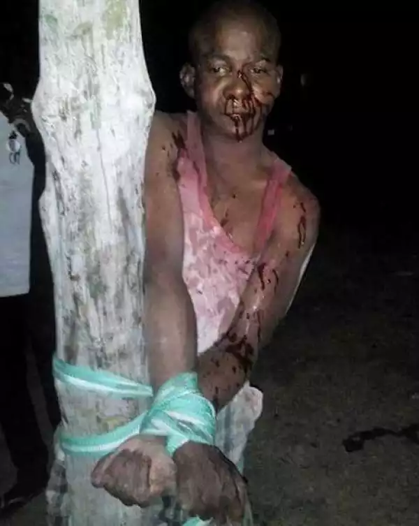 Caught & Tied to a Pole: See What an Angry Mob Did to a Suspected Car Thief in Kano (Photo)